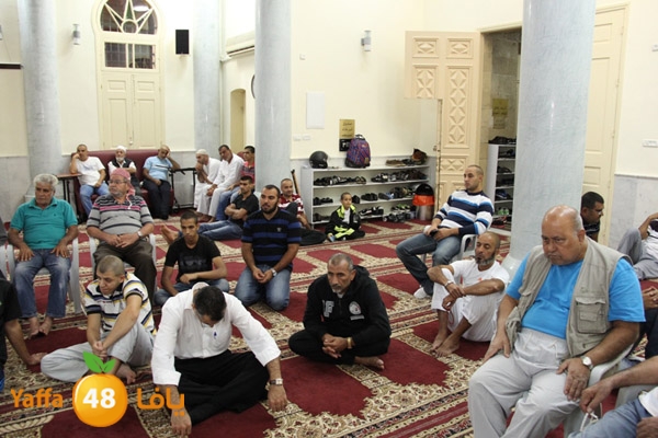 omsiya nozha 1104 (8).JPG